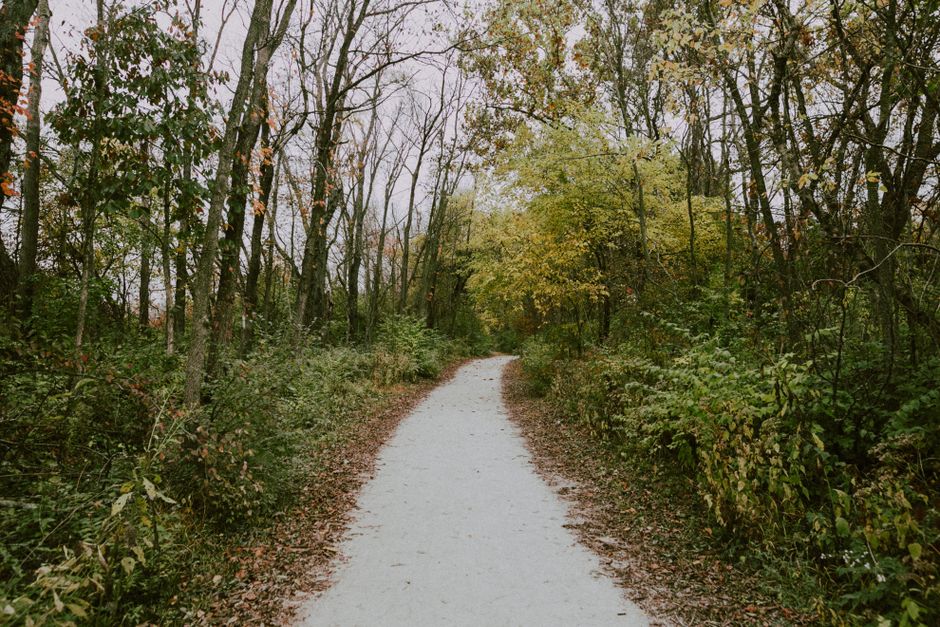 A Balanced Approach To Wellness: Sorting Fact From Fiction